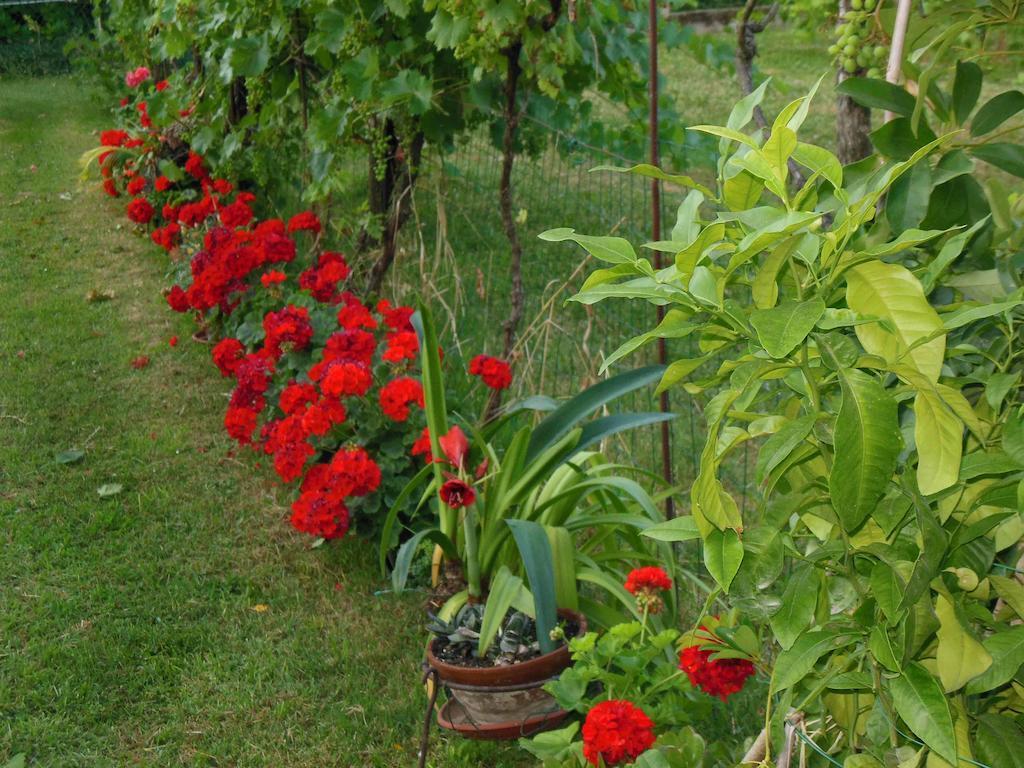 Bed and Breakfast Al Pic De Corone Terzo d' Aquileia Exterior foto