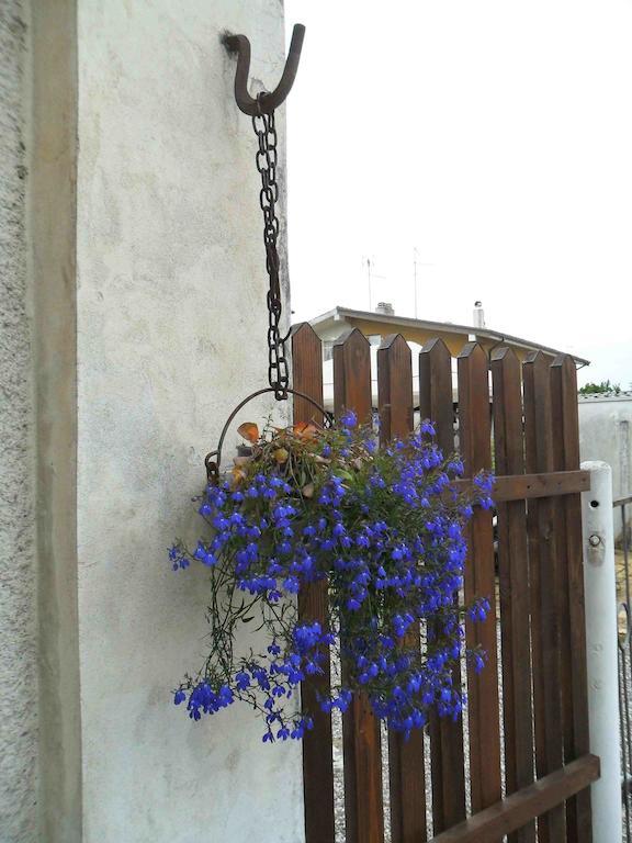 Bed and Breakfast Al Pic De Corone Terzo d' Aquileia Exterior foto