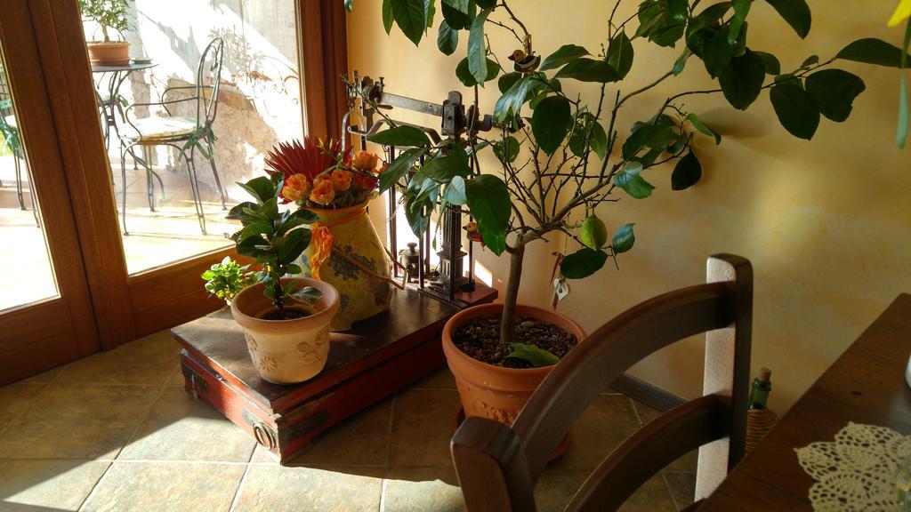 Bed and Breakfast Al Pic De Corone Terzo d' Aquileia Exterior foto