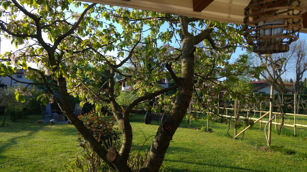 Bed and Breakfast Al Pic De Corone Terzo d' Aquileia Exterior foto